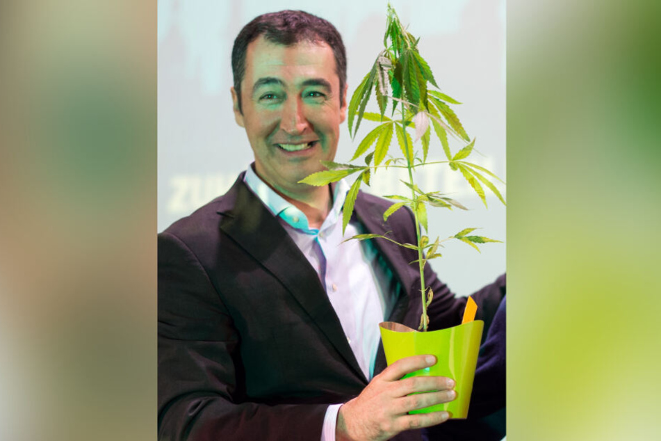 Cem Özdemir: Bekam nach einer Rede im Jahr 2014 vom Sprecher der Landesarbeitsgemeinschaft Drogenpolitik eine Hanfpflanze geschenkt.