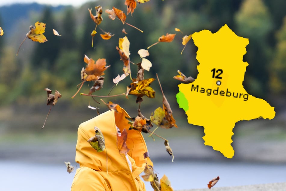 Sachsen-Anhalt steht ein herbstlich-nasses Wochenende bevor. (Symbolbild)