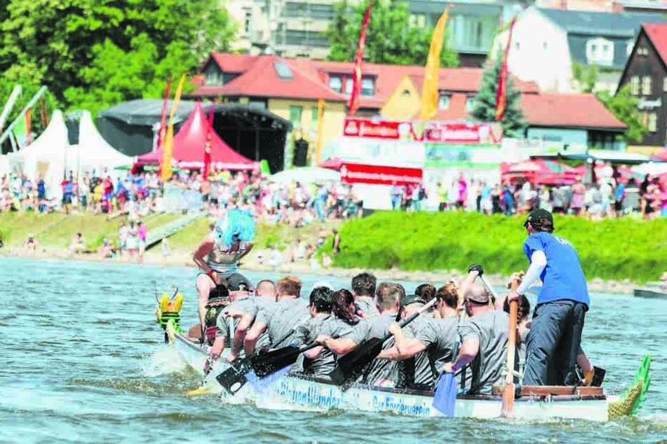 Das Drachenboot-Festival lockt seit vielen Jahren Tausende Dresdner ans Elbufer.