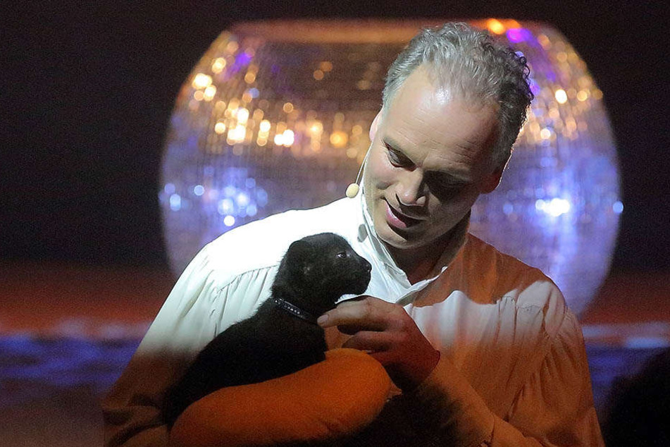 "Papa" André Sarrasani (45) mit der Mietzekatze auf die Bühne.