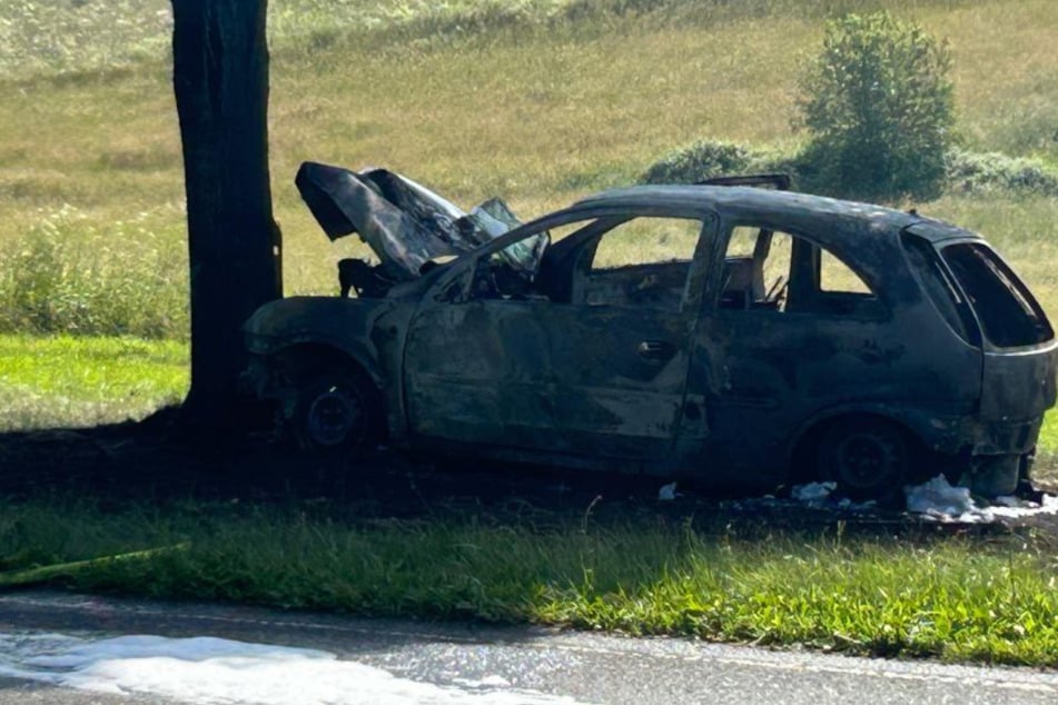 Das Fahrzeug brannte nach dem Baum-Crash vollständig aus.