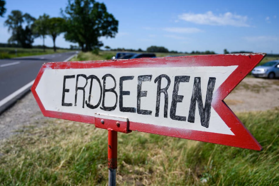 Besonders die abgelegene Lage der Stände scheint die Täter anzusprechen (Symbolfoto)