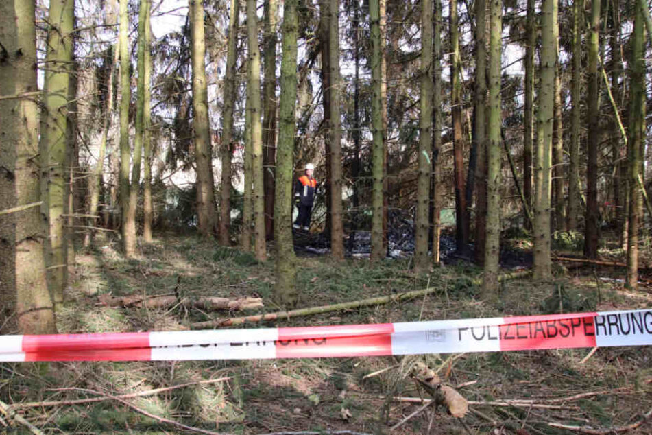 Das Kleinflugzeug stürzte über einem Waldgebiet nahe Maxhütte-Haidhof in der Oberpfalz ab.