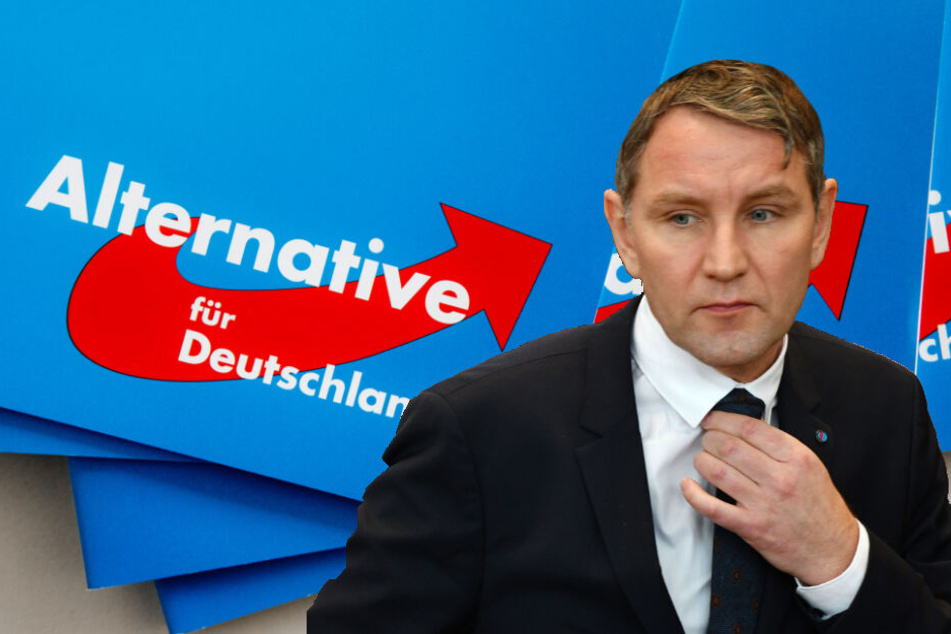 Björn Höcke wurde 608 mal im Gutachten des Verfassungschutz erwähnt. (Bildmontage)