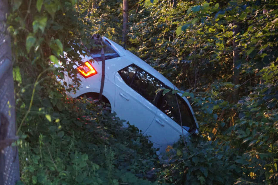 Nachdem sie einen Zaun durchbrochen hatte, steckte die Fahrerin mit ihrem Kleinwagen im Gebüsch fest.