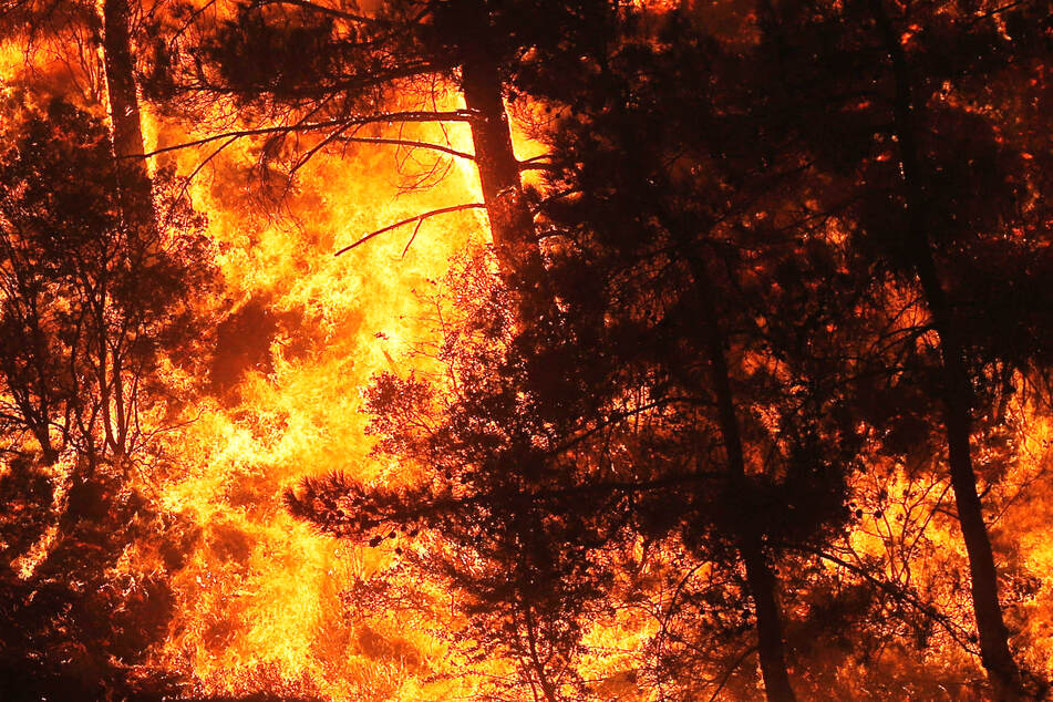 Schon seit Tagen toben in der Türkei verheerende Waldbrände: Das Foto zeigt ein lichterloh brennendes Waldgebiet nahe dem Dorf Akcayaka.