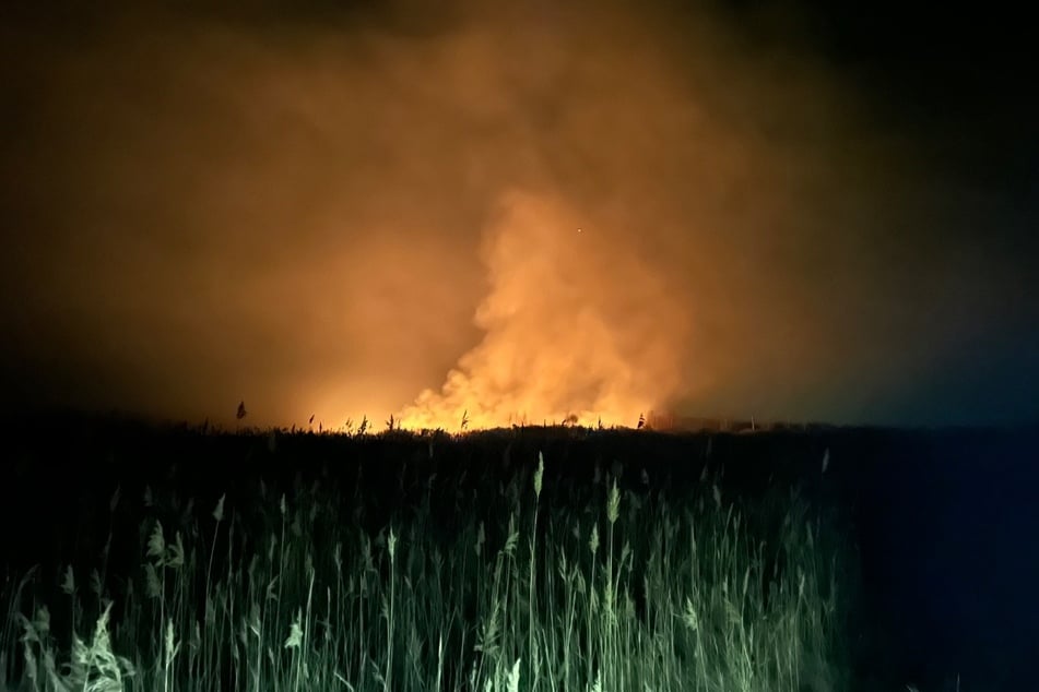 Bei Neukieritzsch brannte in der Nacht zu Dienstag eine 15 Hektar große Fläche.