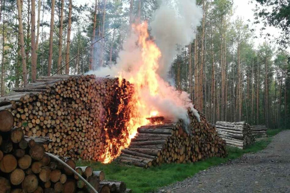 Meterhohe Flammen! Holzstapel in Wald bei Leipzig brennt lichterloh | TAG24