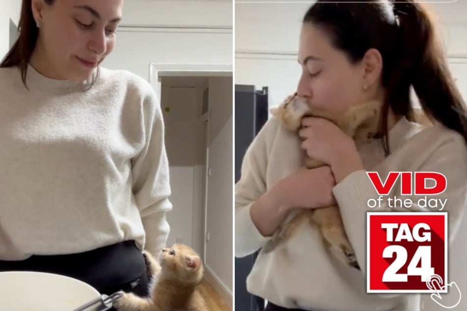 Today's Viral Video of the Day features a woman whose cat couldn't be any clingier!