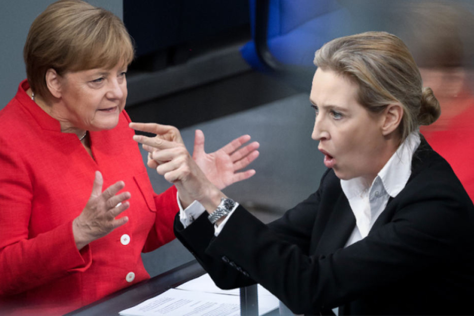 Im Bundestag musste sich Angela Merkel (64, CDU) mal wieder harte Kritik von AfD-Chefin Alice Weidel (39) anhören. (Bildmontage)
