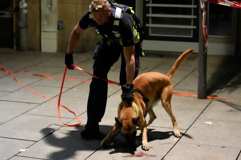Auch ein Spürhund wurde eingesetzt.