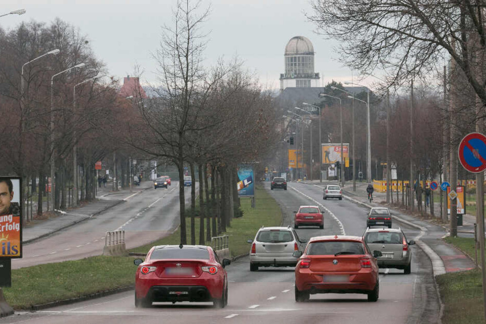 Wenn der Zellesche Weg saniert und umgebaut wird, müssen mindestens 420 Bäume gefällt werden.