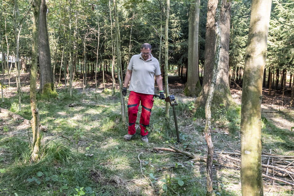 Um das Risiko durch Munition abzuschätzen, untersuchen Spezialisten wie Renè Knab mit Metallsuchgeräten den Boden - hier bei einem Einsatz in Auerswalde.