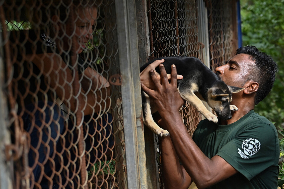 Tierschützer befreiten die Vierbeiner aus ihren Käfigen.