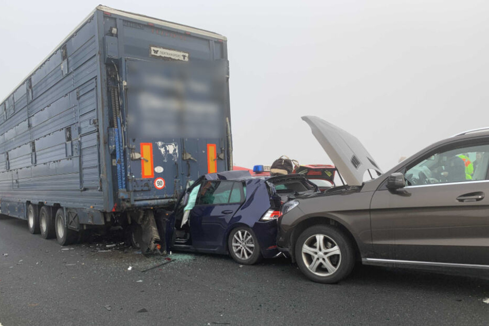 Der mittlerer Wagen wurde bei dem Unfall auf der A7 fast zu Hälfte unter den Lastwagen geschoben.