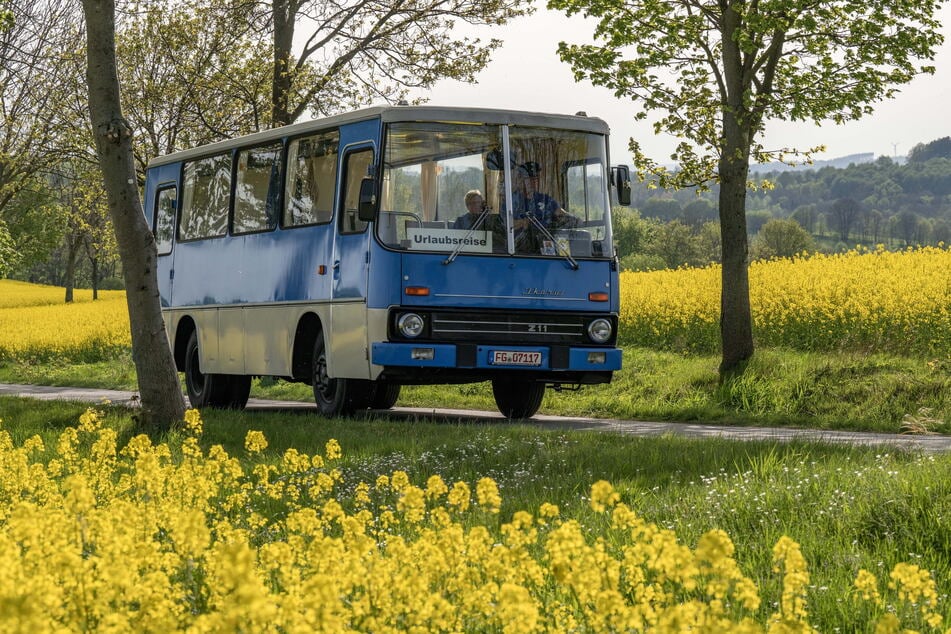 Der 48 Jahre alte Ikarus ist nicht nur inmitten leuchtender Rapsfelder ein Hingucker.