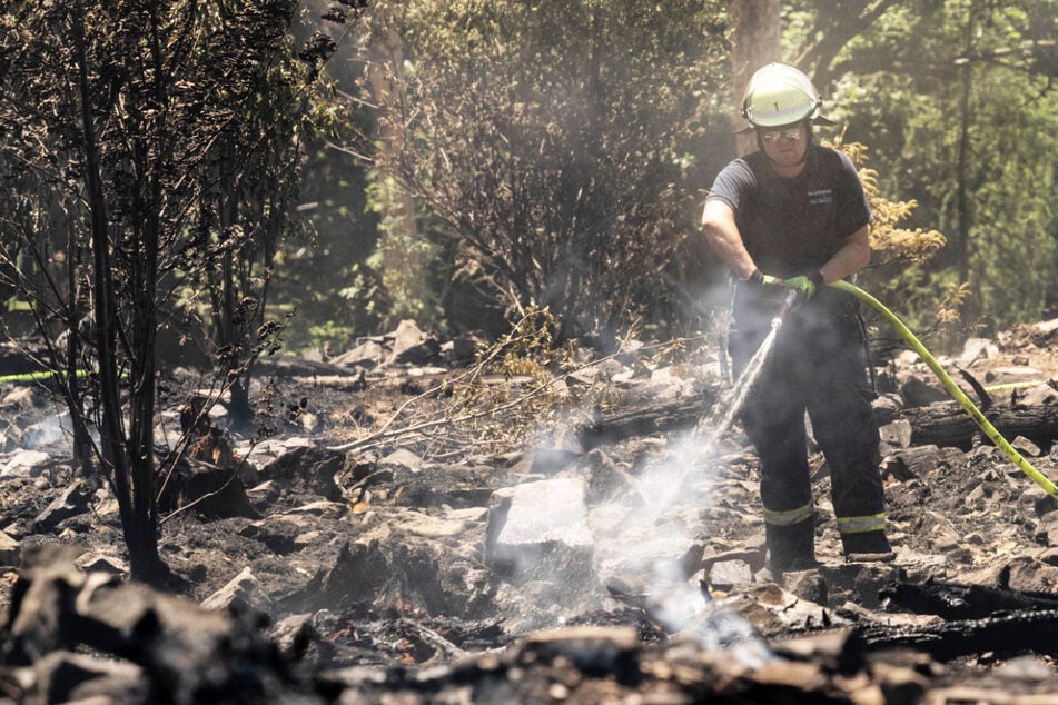 Waldbrandgefahr in Hessen steigt: So schnell kann es gehen, darauf soll geachtet werden