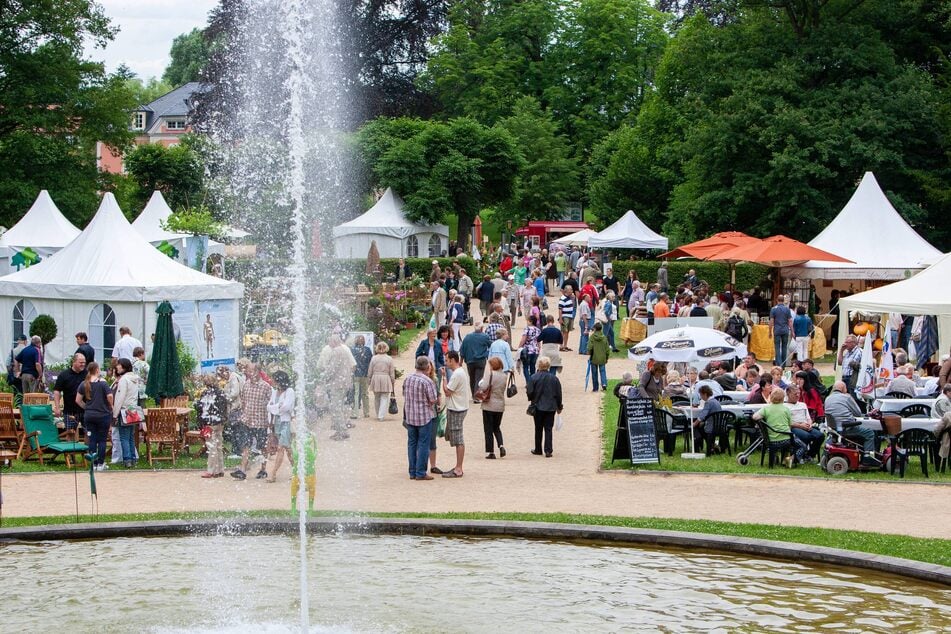 Am Familientag verwandelt sich die Insel im Schlosspark Großharthau in eine Festmeile. (Archivfoto)