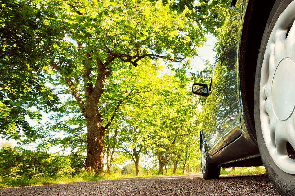 Nach 17 Stunden Suche: Polizei findet vermissten Senioren (85) in seinem Auto im Wald