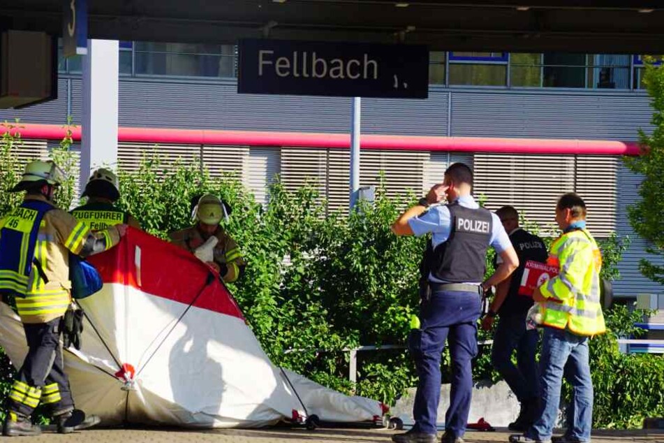Ein Mensch wurde am Bahnhof Fellbach von einer S-Bahn erfasst.