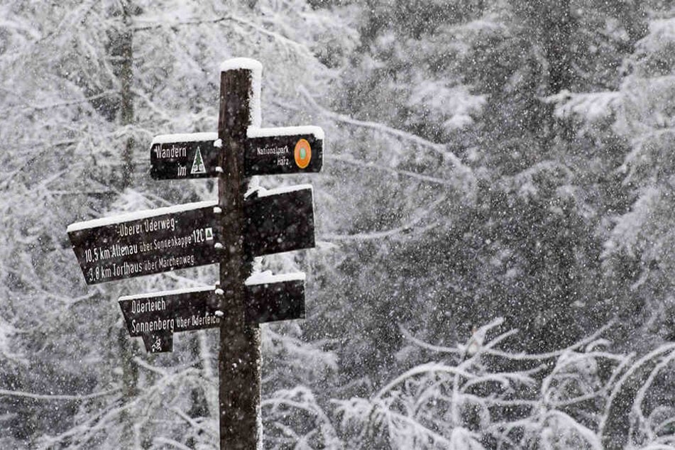 Das Paar war auf seiner Wanderung im Tiefschnee stecken geblieben und musste von der Feuerwehr gerettet werden. (Symbolbild)