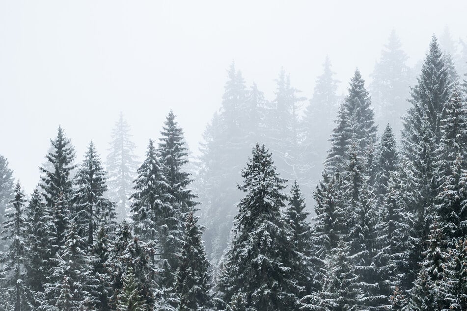 Auf dem Feldberg sind vor Kurzem die ersten Schneeflocken in diesem Herbst gefallen. (Archivbild)