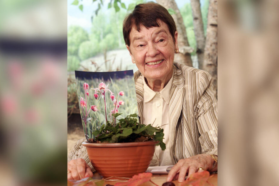 Loki Schmidt präsentiert in Hamburg die Bach-Nelkenwurz als Blume des Jahres 2007. Naturschützerin Loki Schmidt, die Ehefrau von Altkanzler Helmut Schmidt, wäre am 3. März 100 geworden.