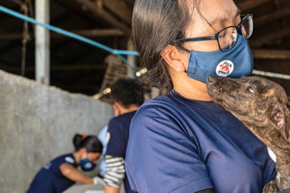 Canine slaughterhouse closed in big win for Cambodian animal activists