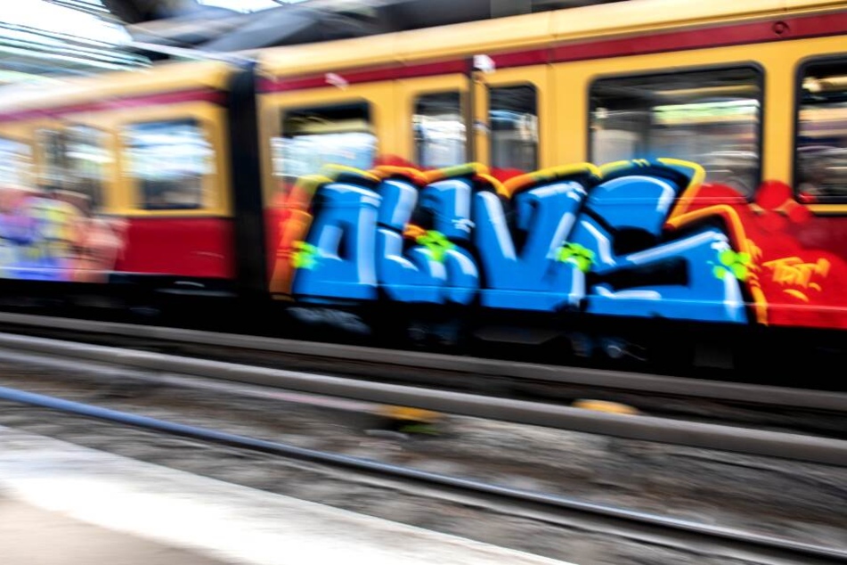 Ein Hund wurde am Samstag von einer S-Bahn tödlich verletzt (Symbolbild).
