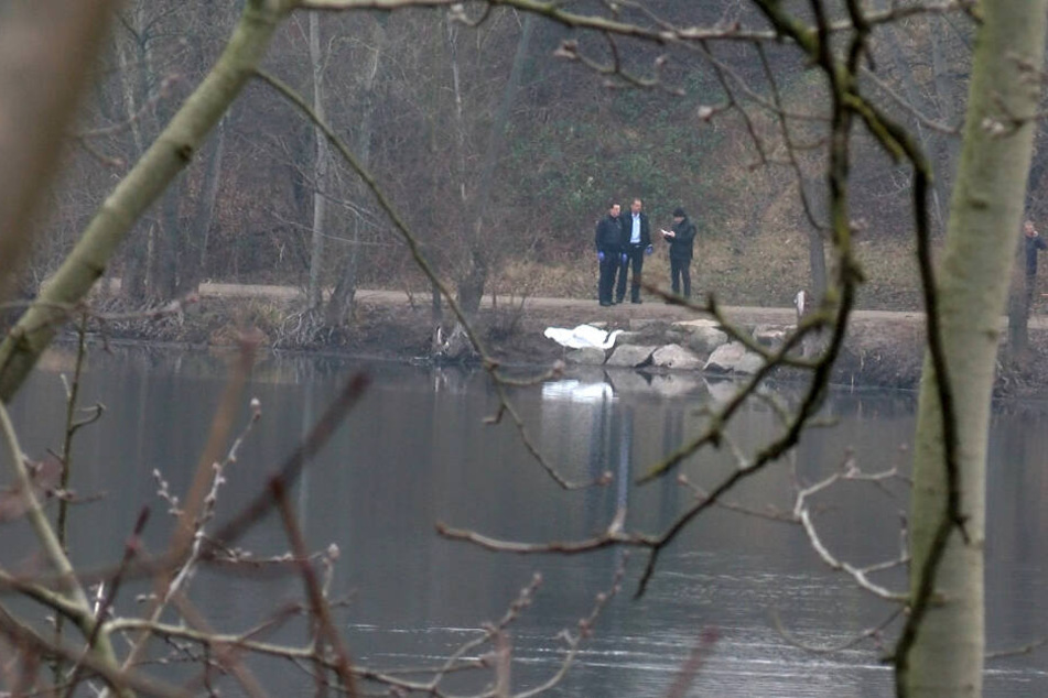 Ermittler der Polizei stehen am 12.01.2018 an einem kleinem See in Mannheim. In dem See hat ein Fußgänger die Leiche eines Babys gefunden.