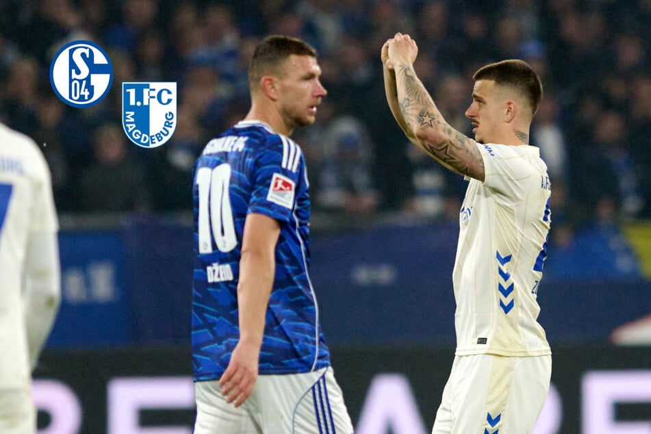 "Hätte noch höher ausfallen können": FCM-Akteure nach Pleite auf Schalke bedient