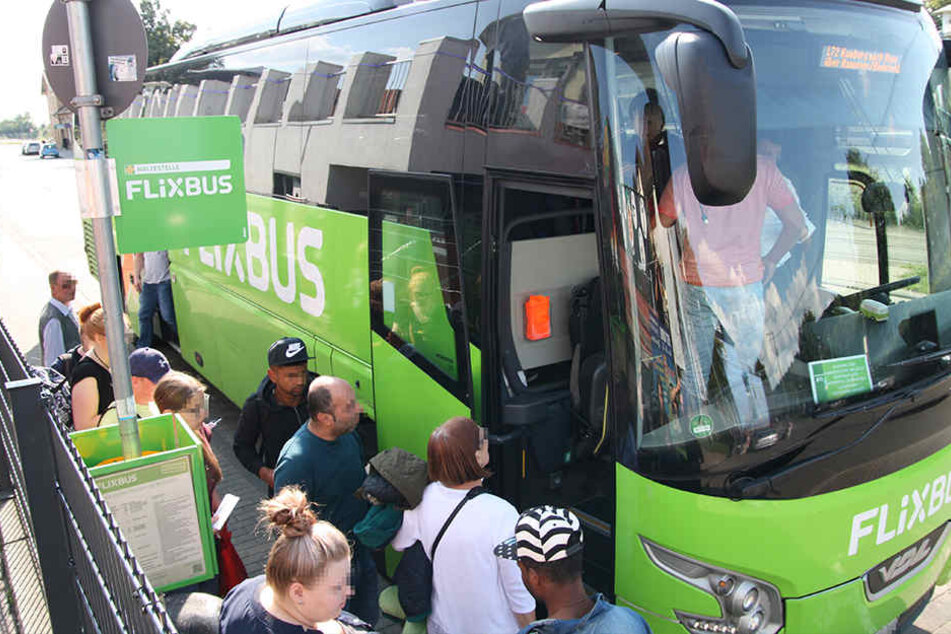 Mit einem der grünen Reisebusse fahren die Mädels so schnell nicht wieder.
