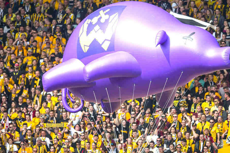 Die fliegende lila Sau ist auch zwei Jahre nach ihrem Abheben im DDV-Stadion noch in aller Munde. Kleine Neckereien gehören dazu, dabei sollte es aber auch bleiben.