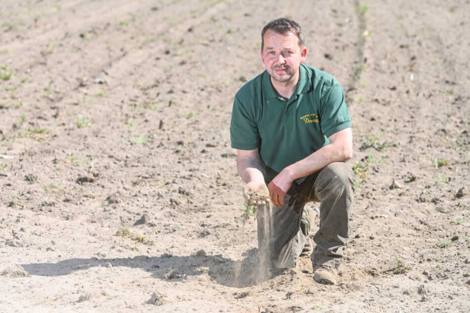 Die Frühjahrstrockenheit macht Landwirt Matthias Domanja (41) aus Wittichenau zu schaffen.