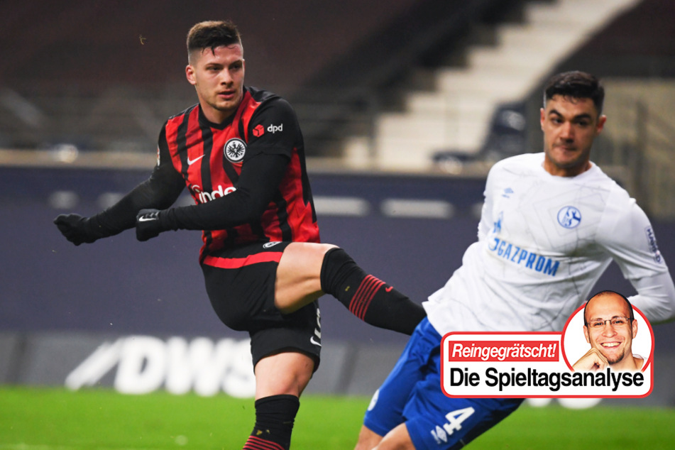 TAG24-Fußballredakteur Stefan Bröhl (32) beschäftigt sich in seiner wöchentlichen Kolumne diesmal mit der komplizierten Lage beim FC Schalke 04.