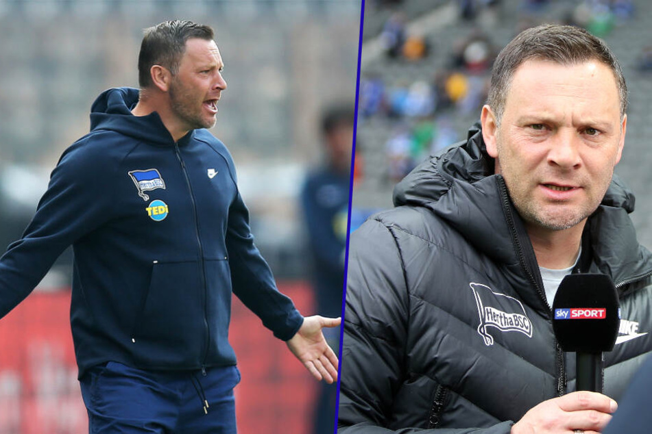 Pal Dardai ist seit 2015 Trainer bei Hertha BSC. (Bildmontage)