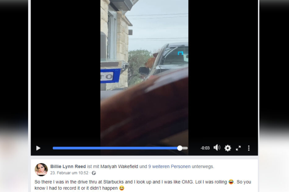 Über 3,5 Millionen Menschen wollten sich den Post von Billie Lynn Reed nicht entgehen lassen. Er ist einfach zu lustig.