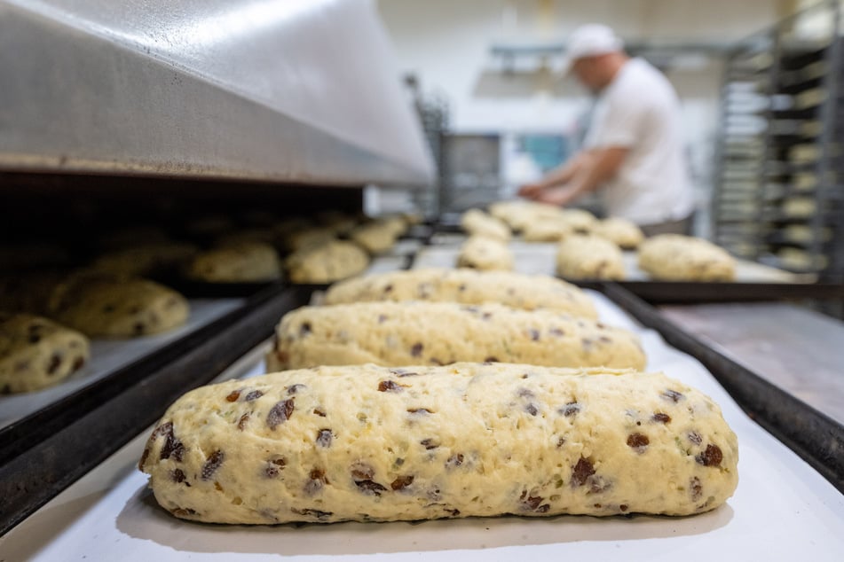 In der Backstube Schäfer beginnt die Stollenproduktion voraussichtlich Mitte September.