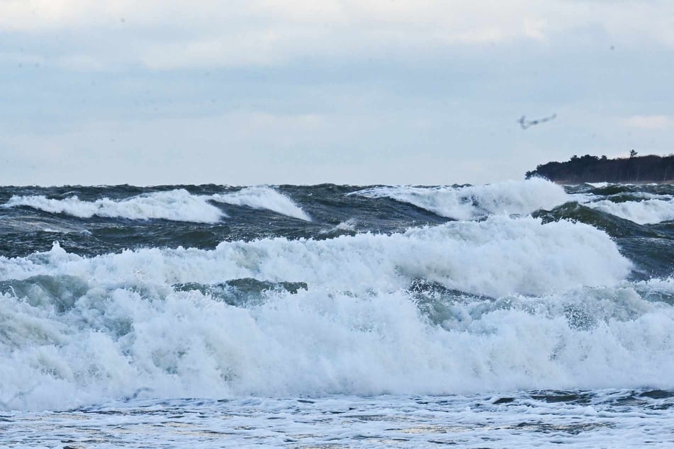 Tote und Verletzte nach schweren Stürmen an Ostseeküste: Hunderttausende Haushalte ohne Strom