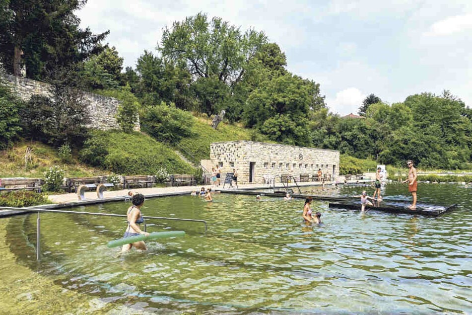 Das Zschonergrundbad darf auf 80 000 Euro Zuschuss hoffen.