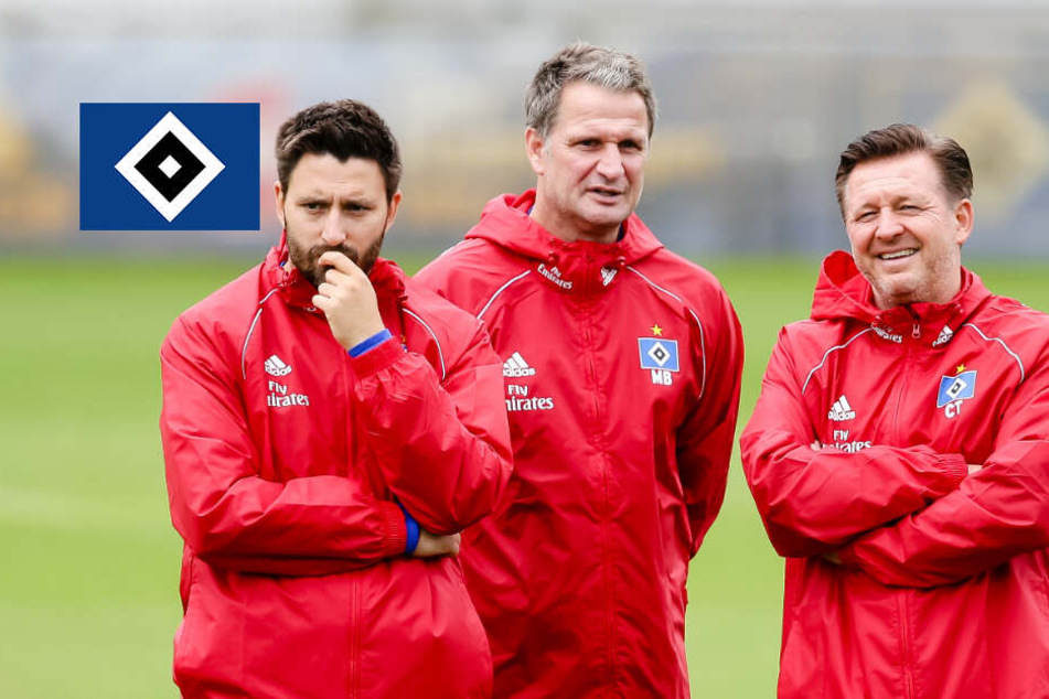 Hsv Co Trainer Hsv Co Trainer