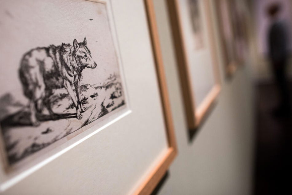Eine Wolfsdarstellung des Künstlers Marcus de Bye hängt im Wallraf-Richartz-Museum.