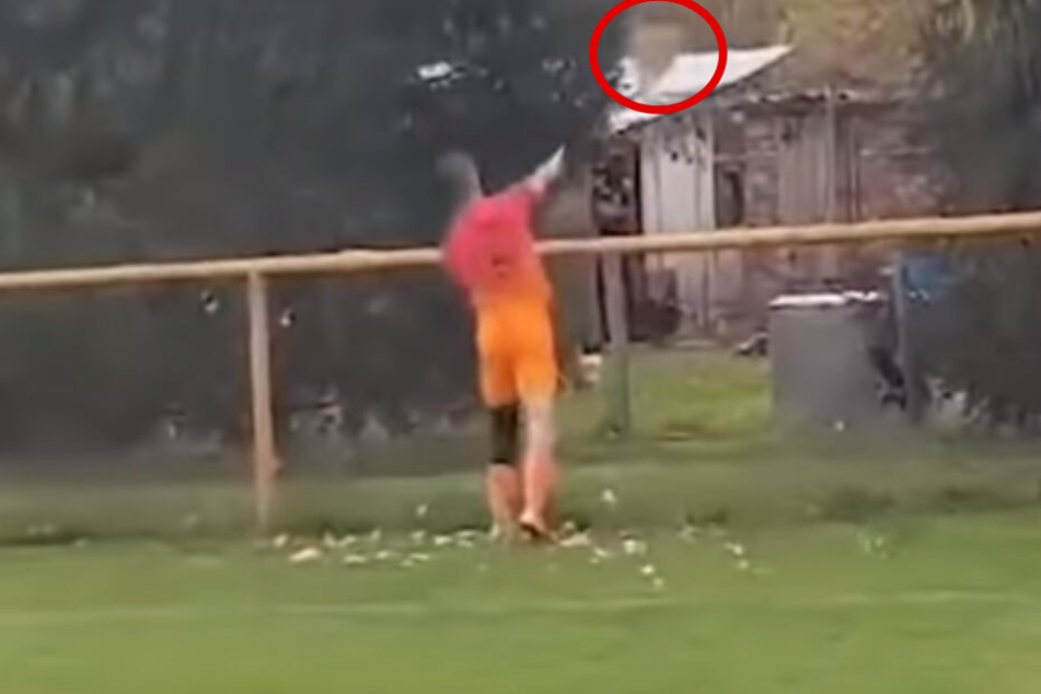 Nach dem Tritt schleuderte der Stürmer das Huhn achtlos zur Seite.