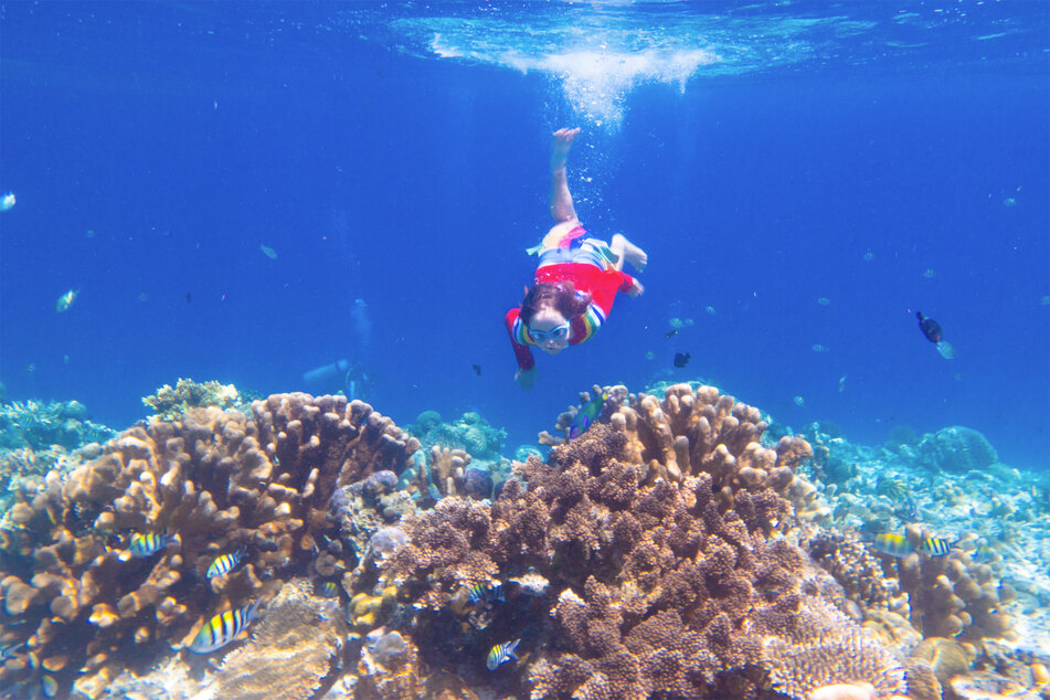 Tourism puts significant strain on coral reef ecosystems.