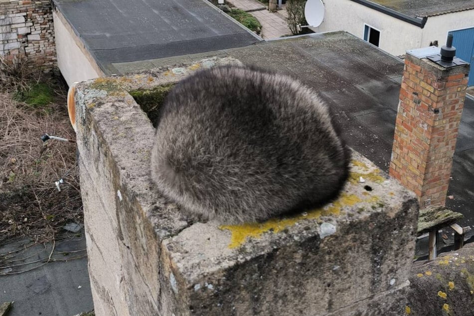 Kameraden der Feuerwehr sowie ein Jäger eilten dem Racker zur Hilfe.