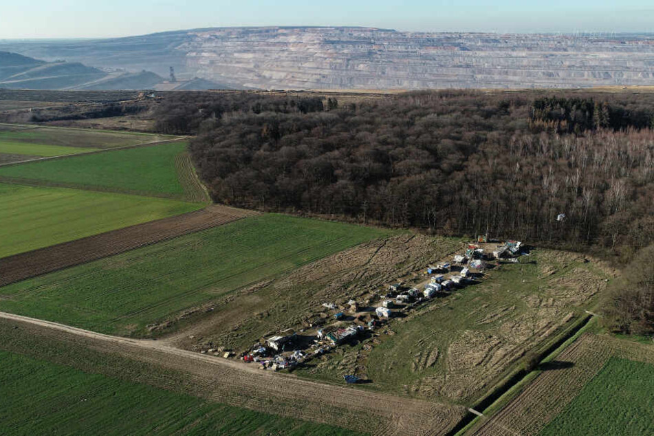 Der Hambacher Forst beschäftigt am Dienstag das Kölner Verwaltungsgericht.