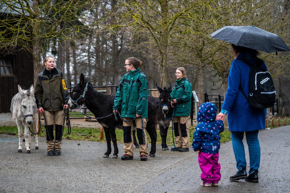 Tierpfleger*innen klären Besucher am Tierpark immer wieder über die Gefahren falscher Fütterung auf.