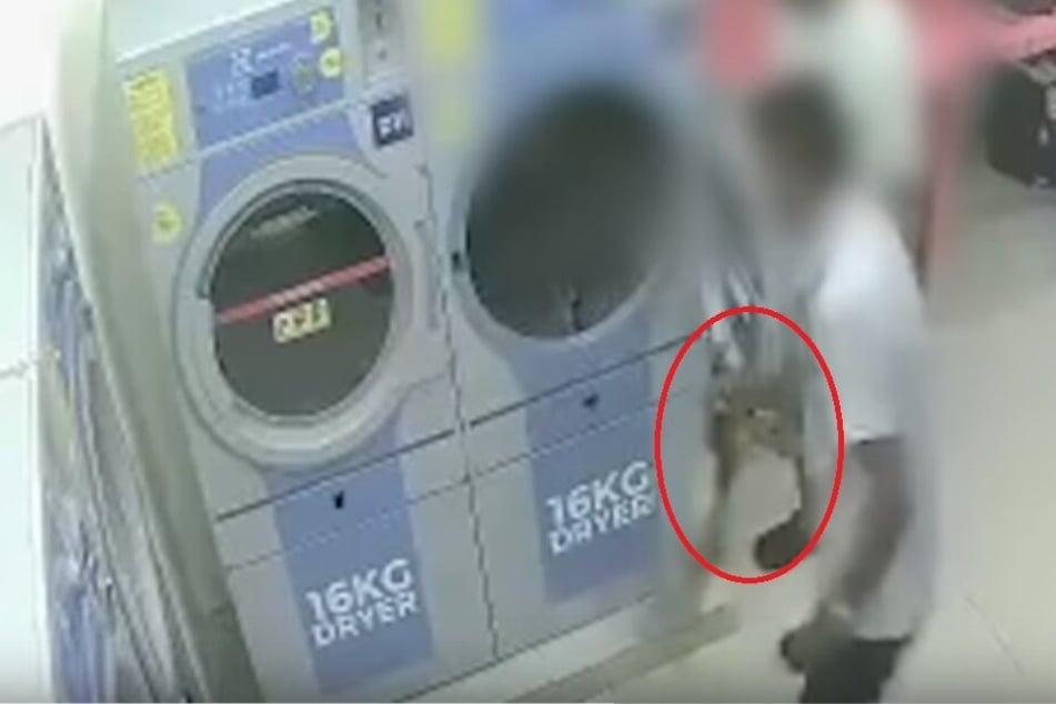 Einer der Täter steckt die schwangere Katze in den Wäschetrockner.