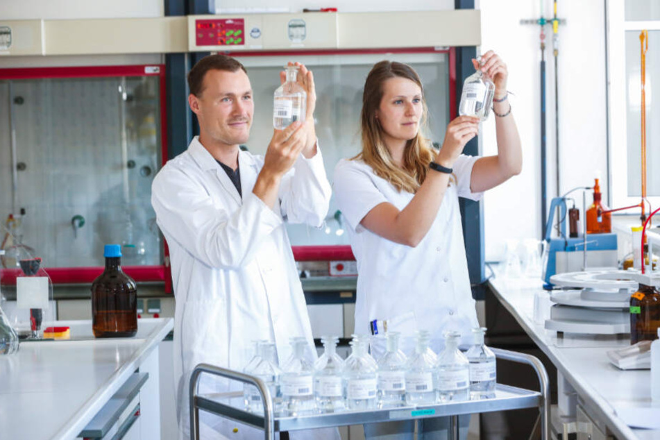 Wissenschaftler haben vier Jahre lang die Elbe und andere Flüsse untersucht.