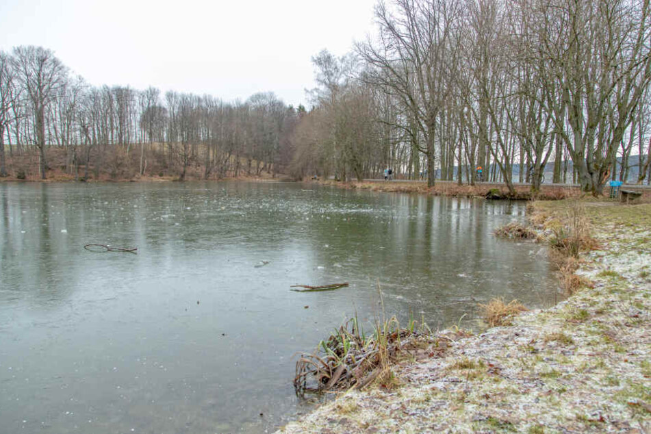 Ein Teich zugefrorener Teich im Erzgebirge: Doch die Eisdecke ist nur wenige Zentimeter dick. Eine tödliche Falle.
